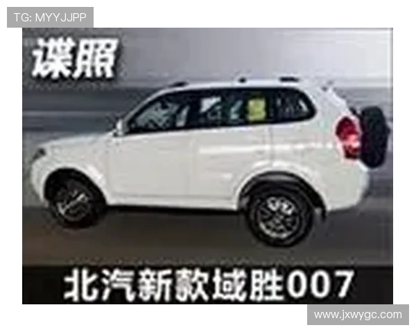 190马力电机的中庸之道：域胜007，为何在性能与节能间两头不靠岸